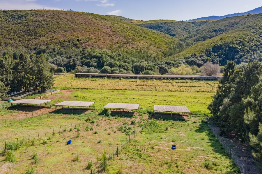 8 Bedroom Property for Sale in Elandsrivier Eastern Cape